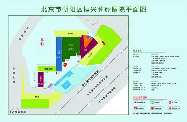 日本大骚逼操逼北京市朝阳区桓兴肿瘤医院平面图